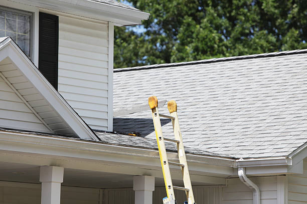 Best Shed Removal  in Edwardsburg, MI